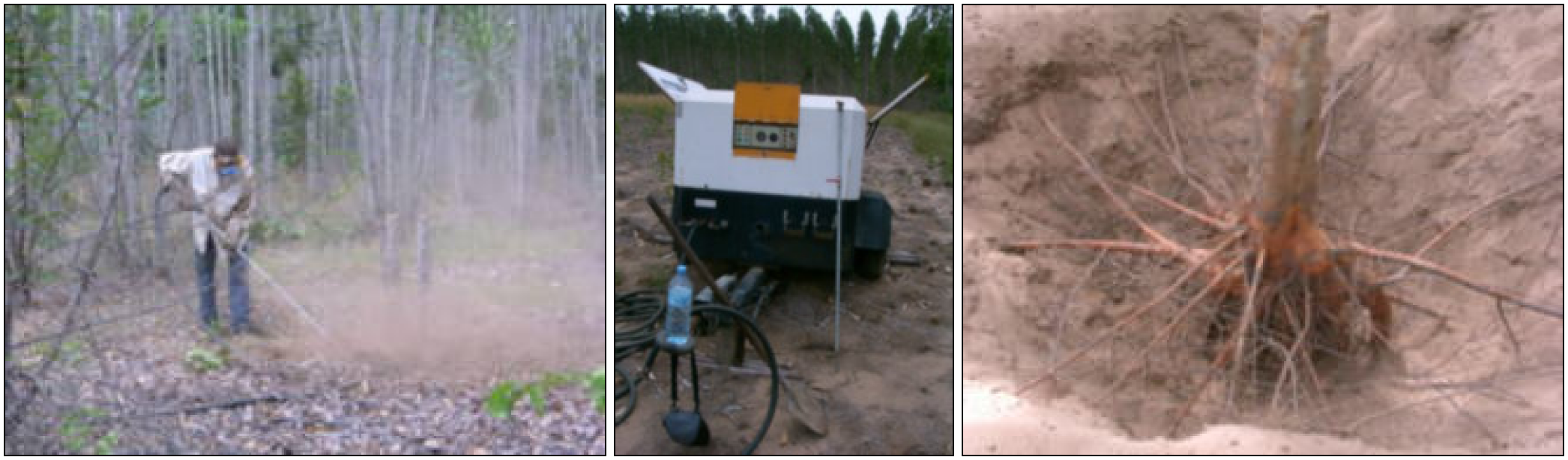 Air knife being used in Congo to extract the root systems (large and medium-size roots) of eucalyptus. Left, operator with protective equipment (dust, noise); middle, compressor and close up of the air pressure gauge (about 8 bars); right, the result (photos: C. Jourdan).
