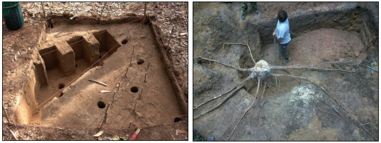 Left, superimposition of different sampling methods (cores, excavations by cubes, partial Voronoi excavation, total Voronoi excavation), from Levillain et al. (2011) (photo: C. Jourdan). Right, manual excavation of large roots in a rubber tree plantation in Thailand (photo: L. Saint-André).