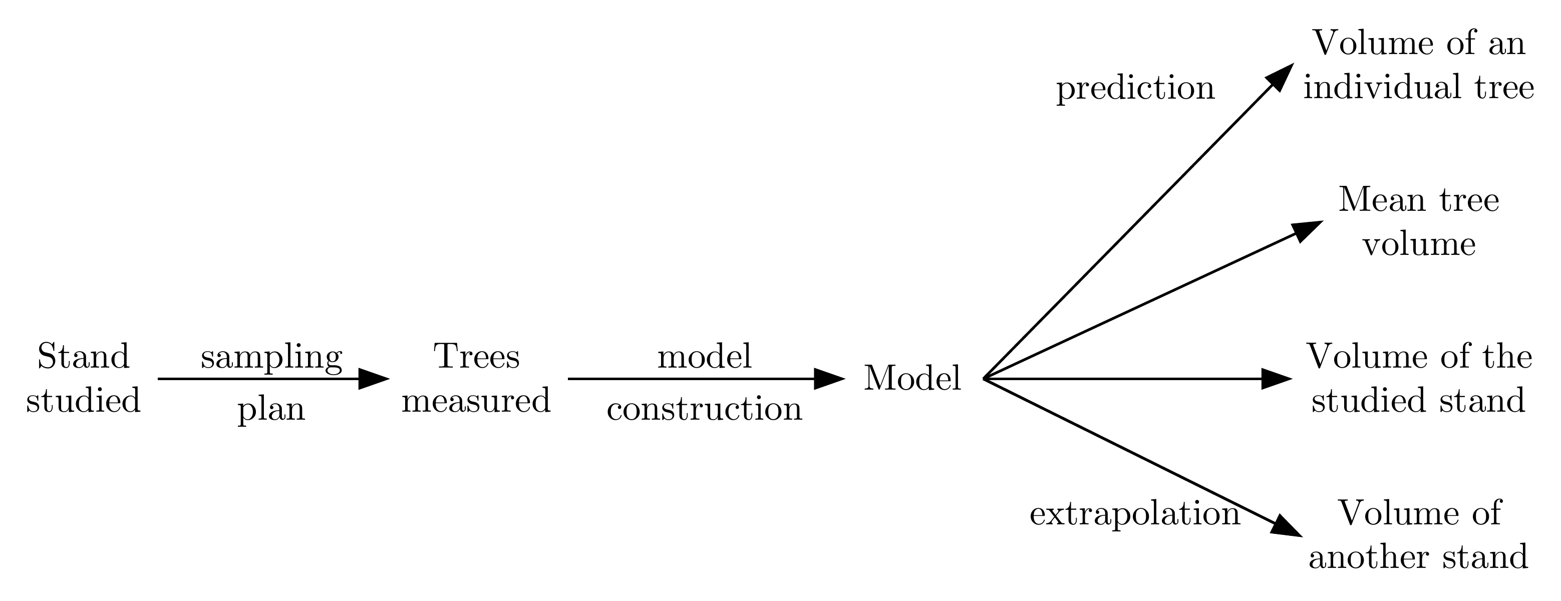 Chain running from the studied stand to the variables we are looking to predict.